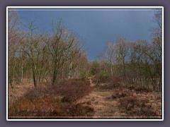 Wege ins Moor - Winterweg