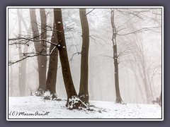 Winter - auf dem Weyerberg