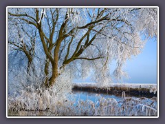 Winter - Schnee genug an der Hamme