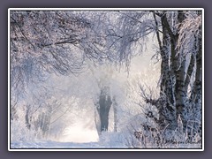 Winter - Zauberland
