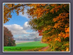 Worpswede  - Blick vom Weyerberg