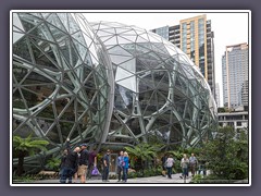 The Spheres Amazon